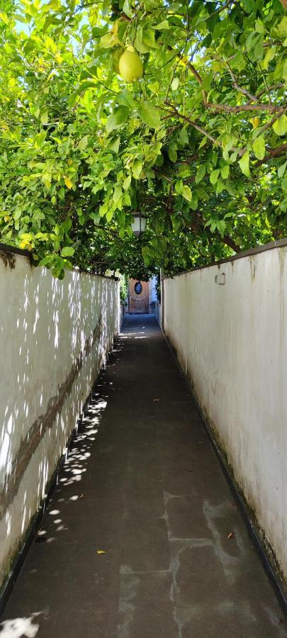 Apartamento Casa Teresinella Garden Torre Annunziata Exterior foto